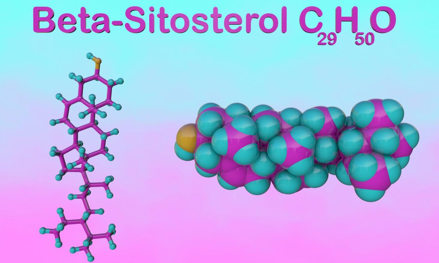 Beta-Sitosterol (β-Sitosterin) | Stiftung G+E