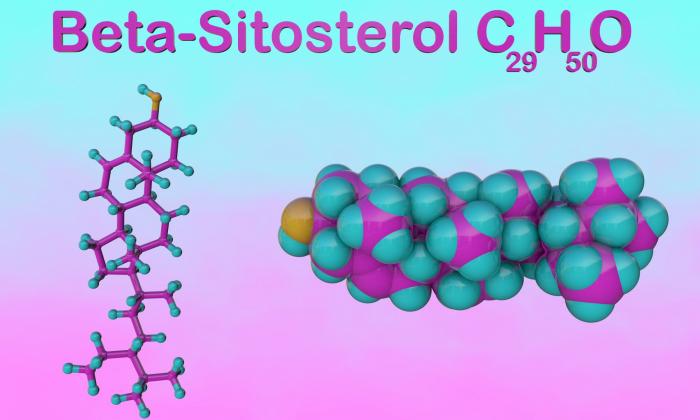 Beta-sitosterol (β-sitosterol) | Fundación G+E