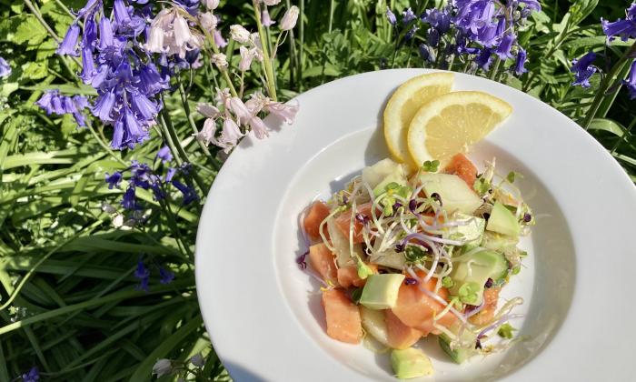 Fruchtiger Sprossensalat mit Papaya und Zuckermelone | Stiftung G+E