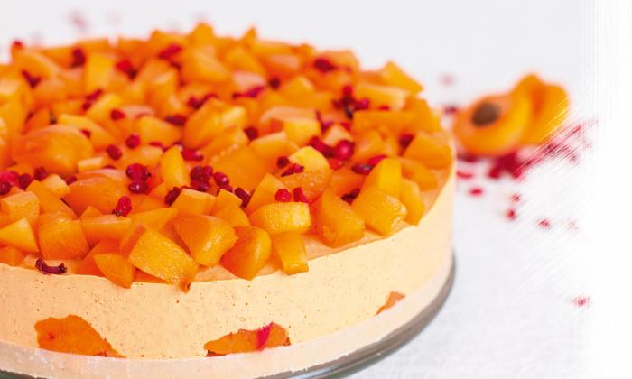 Marillen-Creme-Torte mit Cashew- oder Macadamianussboden | Stiftung G+E